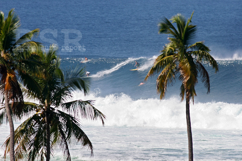 Puerto Rico Surfing Pics - BIG TUESDAY February 22, 2011 Big Swell in Puerto Rico Featured Gallery from Rincon Surf Report