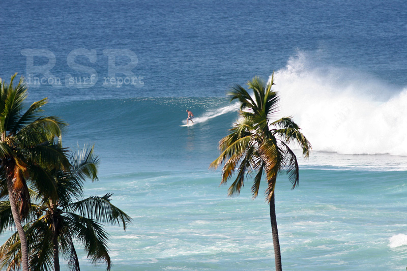 Puerto Rico Surfing Pics - BIG TUESDAY February 22, 2011 Big Swell in Puerto Rico Featured Gallery from Rincon Surf Report