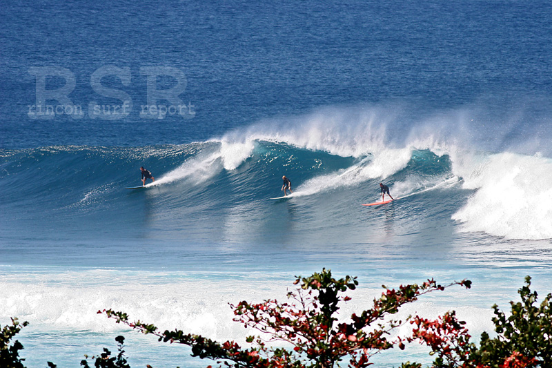 Puerto Rico Surfing Pics - BIG TUESDAY February 22, 2011 Big Swell in Puerto Rico Featured Gallery from Rincon Surf Report