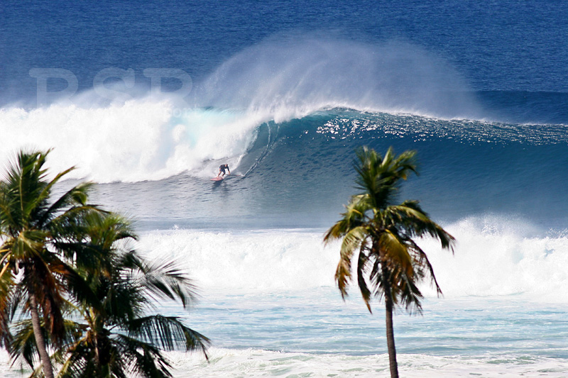 Puerto Rico Surfing Pics - BIG TUESDAY February 22, 2011 Big Swell in Puerto Rico Featured Gallery from Rincon Surf Report