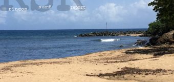 Rincon Surf Report – Monday, Aug 14, 2017