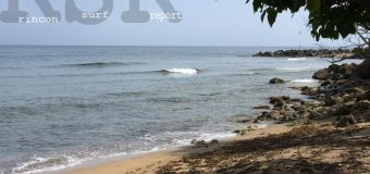 Rincon Surf Report – Tuesday, July 9, 2019