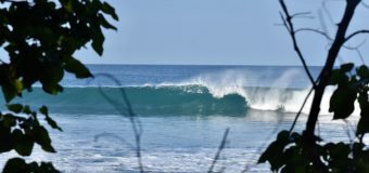 Rincon Surf Report – Wednesday, Feb 19, 2020