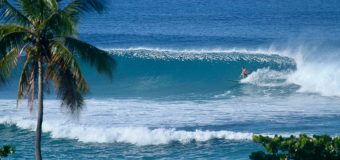 Rincon Surf Report – Wednesday, Dec 23, 2020