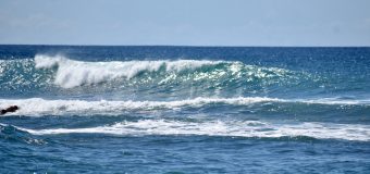 Rincon Surf Report – Friday, Jan 8, 2021