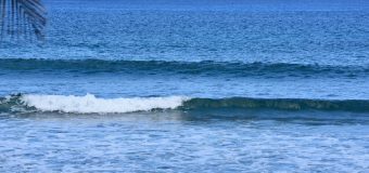 Rincon Surf Report – Monday, Mar 8, 2021