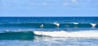 Rincon Surf Report – Saturday, Jan 8, 2022