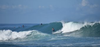 Rincon Surf Report – Monday, Jan 31, 2022