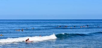 Rincon Surf Report – Monday, Jan 24, 2022