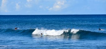 Rincon Surf Report – Monday, Feb 7, 2022