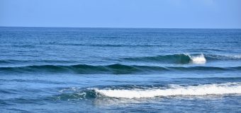 Rincon Surf Report – Friday, Mar 11, 2022
