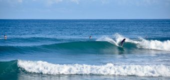 Rincon Surf Report – Monday September 12, 2022