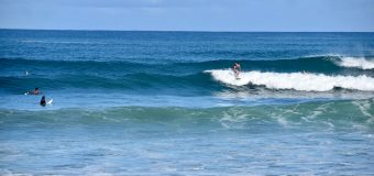 Rincon Surf Report – Sunday November 13, 2022