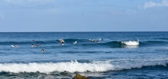 Rincon Surf Report – Wednesday November 22, 2022