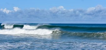 Rincon Surf Report – Sunday November 6, 2022