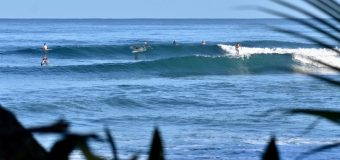 Rincon Surf Report – Tuesday February 21, 2023