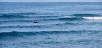 Rincon Surf Report – Monday May 15, 2023