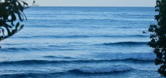 Rincon Surf Report – Monday January 28, 2024