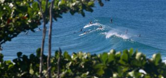 Rincon Surf Report – Thursday January 11, 2024