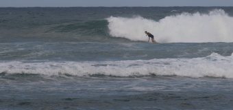 Rincon Surf Report – Friday February 2, 2023