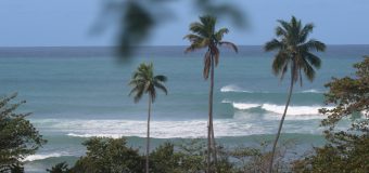 Rincon Surf Report – Friday February 9, 2024