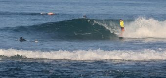 Rincon Surf Report – Sunday February 18, 2024