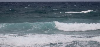 Rincon Surf Report – Thursday February 22, 2024