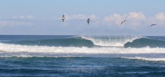 Rincon Surf Report – Tuesday March 12, 2024
