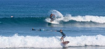 Rincon Surf Report – Saturday April 6, 2024