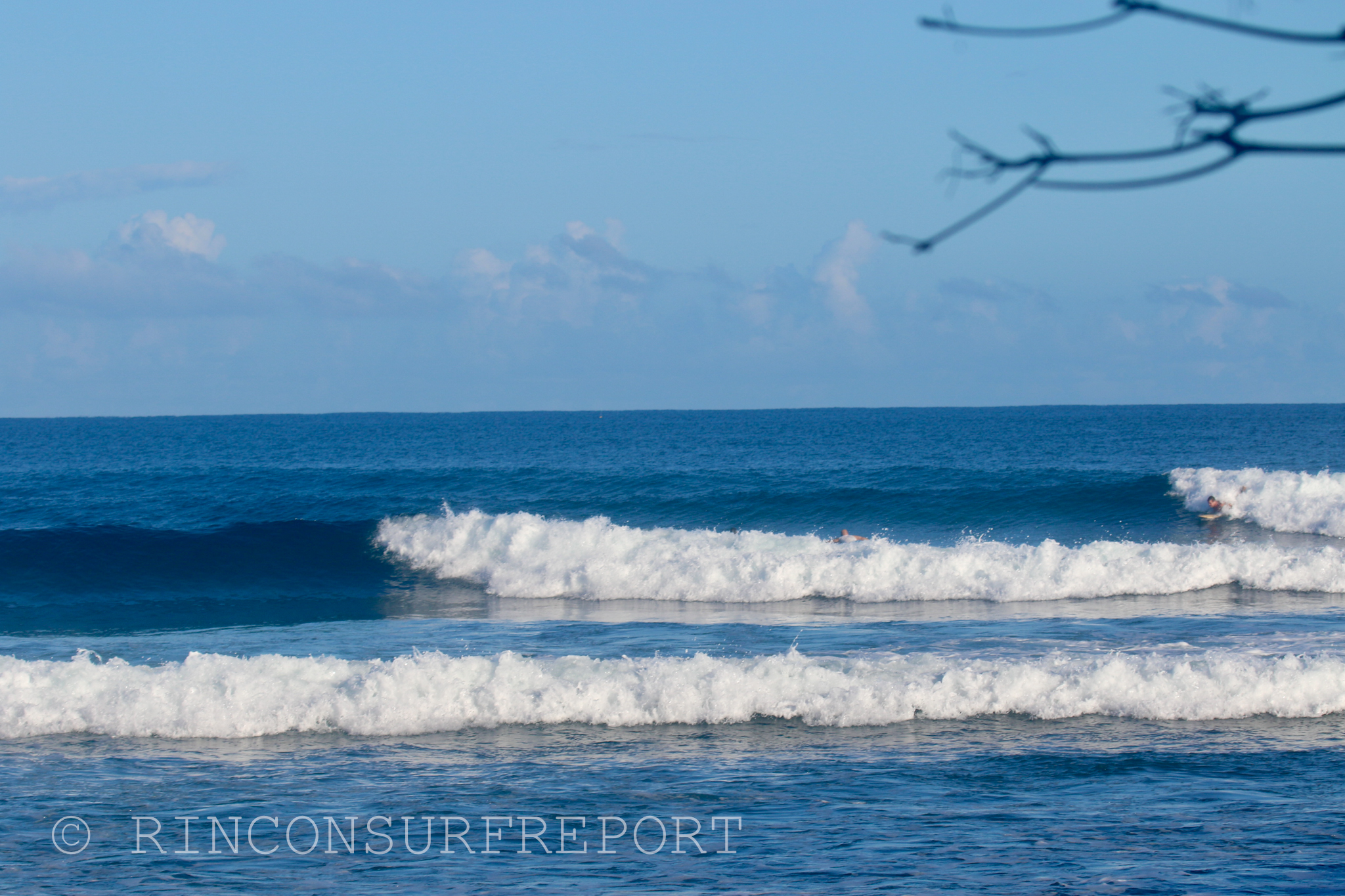 Daily Rincon Surf Report and Wave Forecast for Puerto Rico.