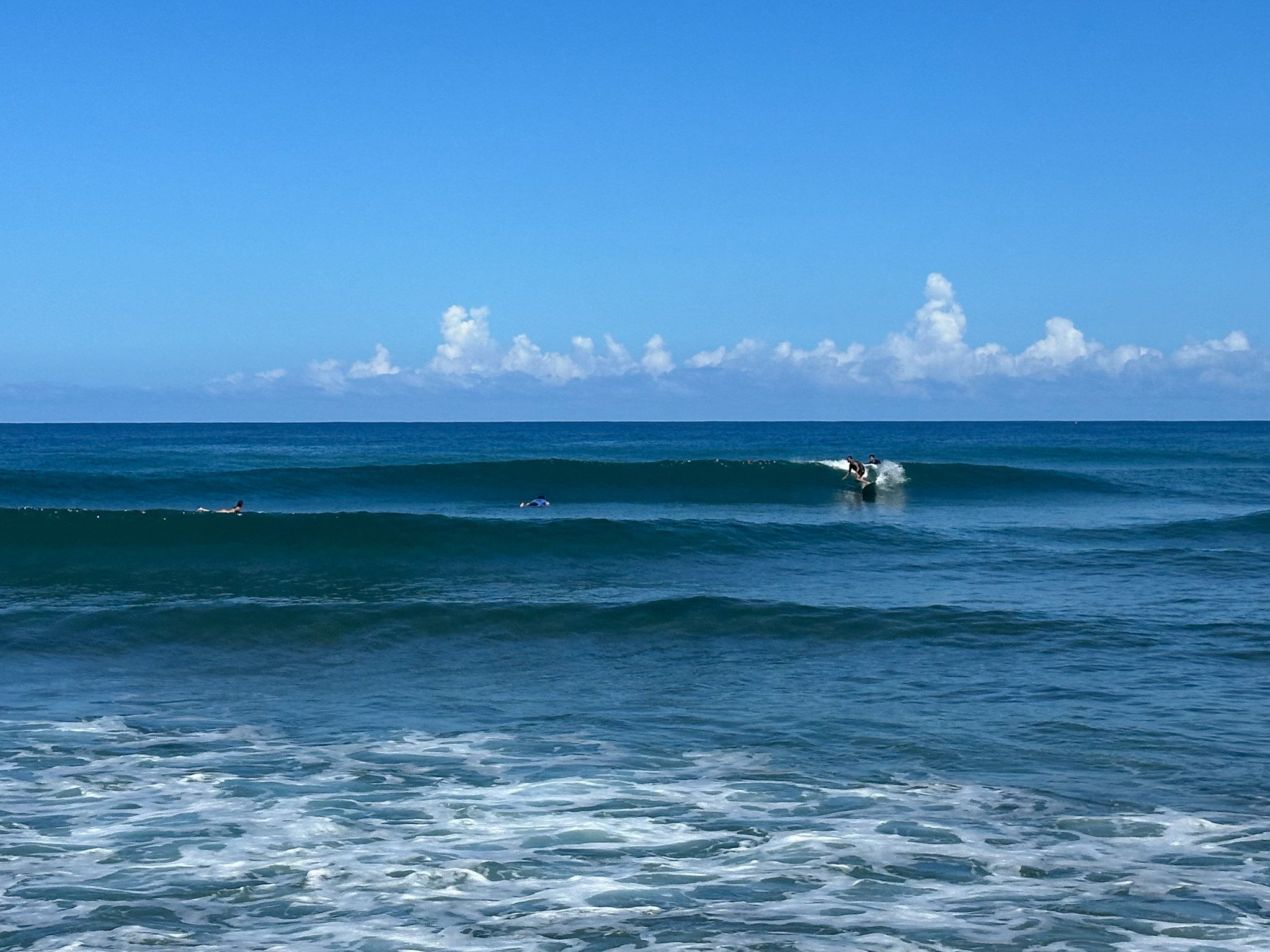 Daily Rincon Surf Report and Wave Forecast for Puerto Rico.