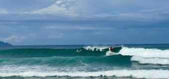 Rincon Surf Report – Friday September 27, 2024