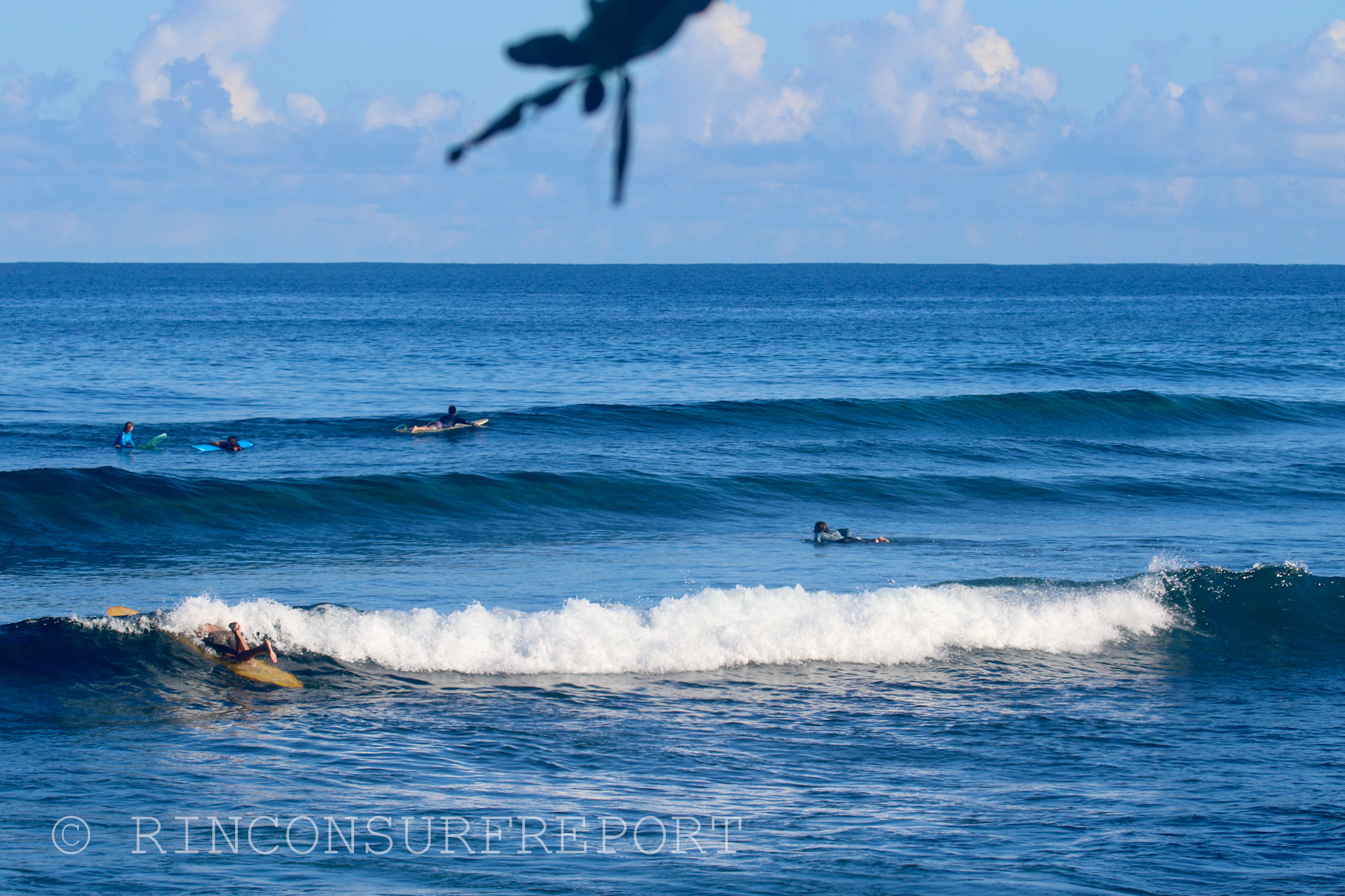 Daily Rincon Surf Report and Wave Forecast for Puerto Rico.