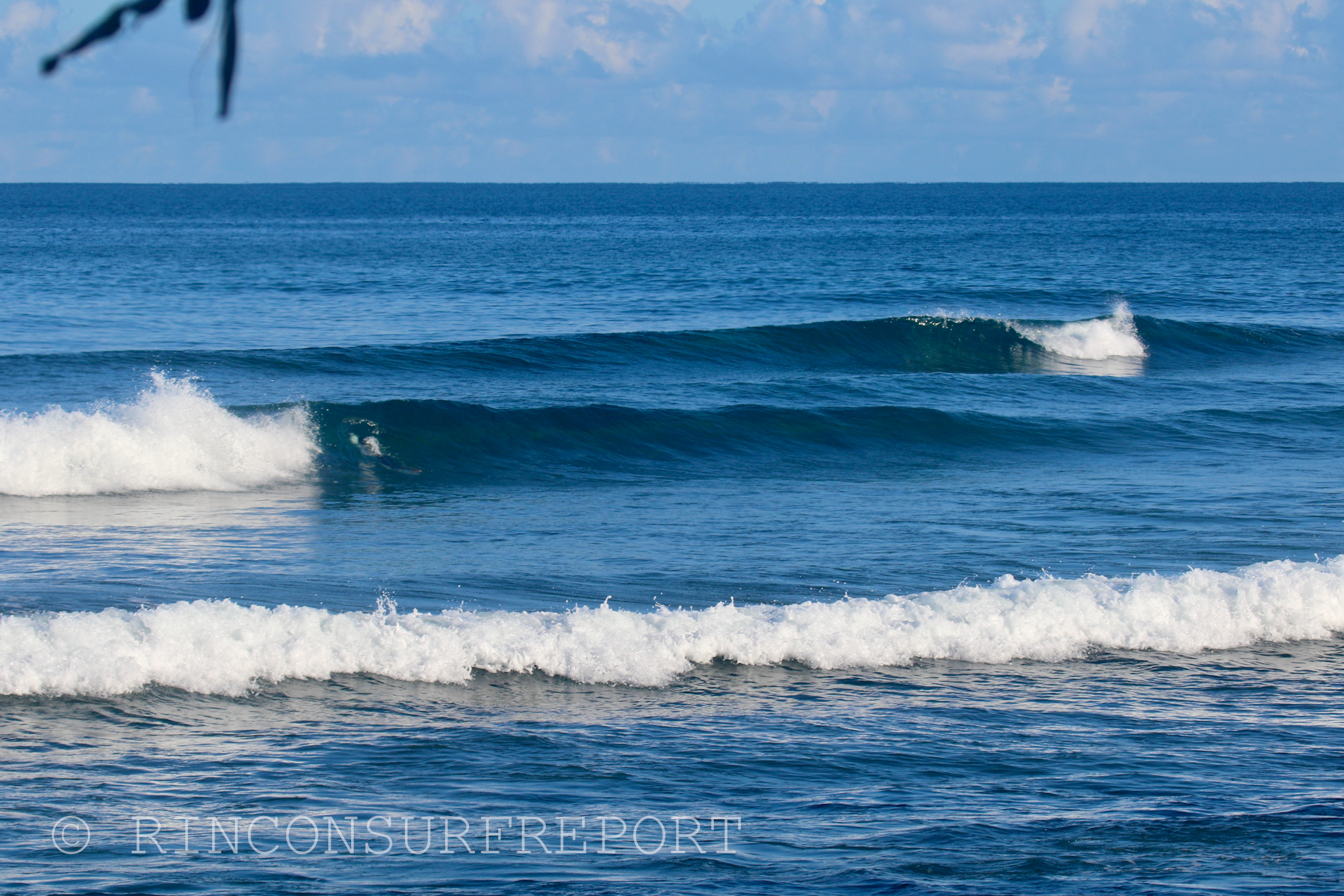 Daily Rincon Surf Report and Wave Forecast for Puerto Rico.