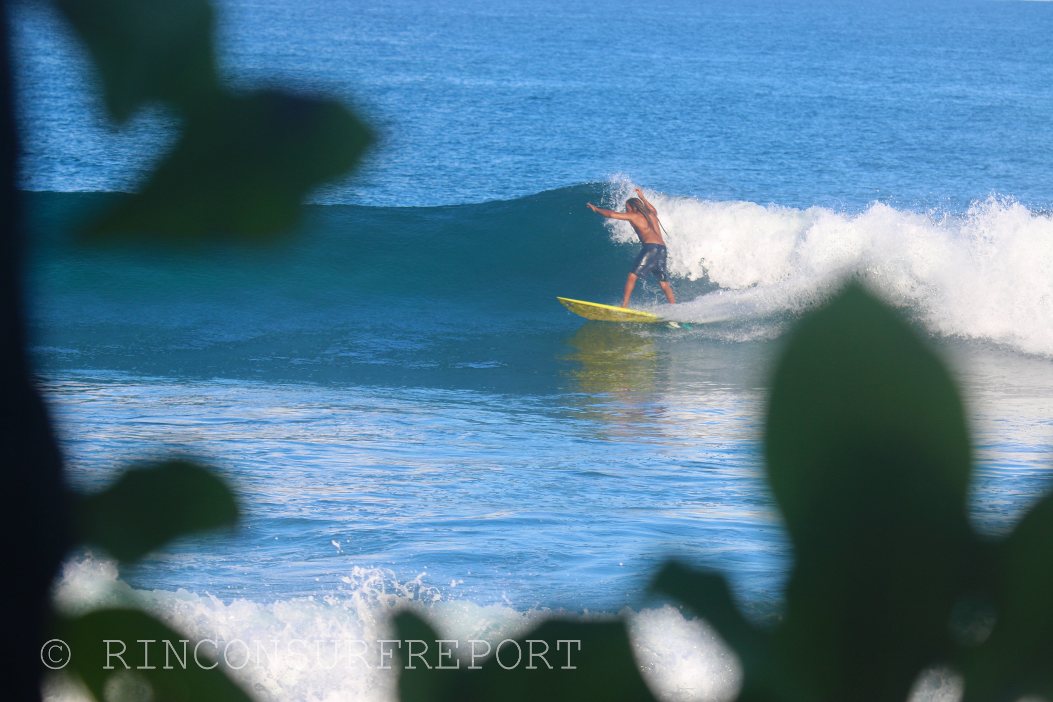 Daily Rincon Surf Report and Wave Forecast for Puerto Rico.