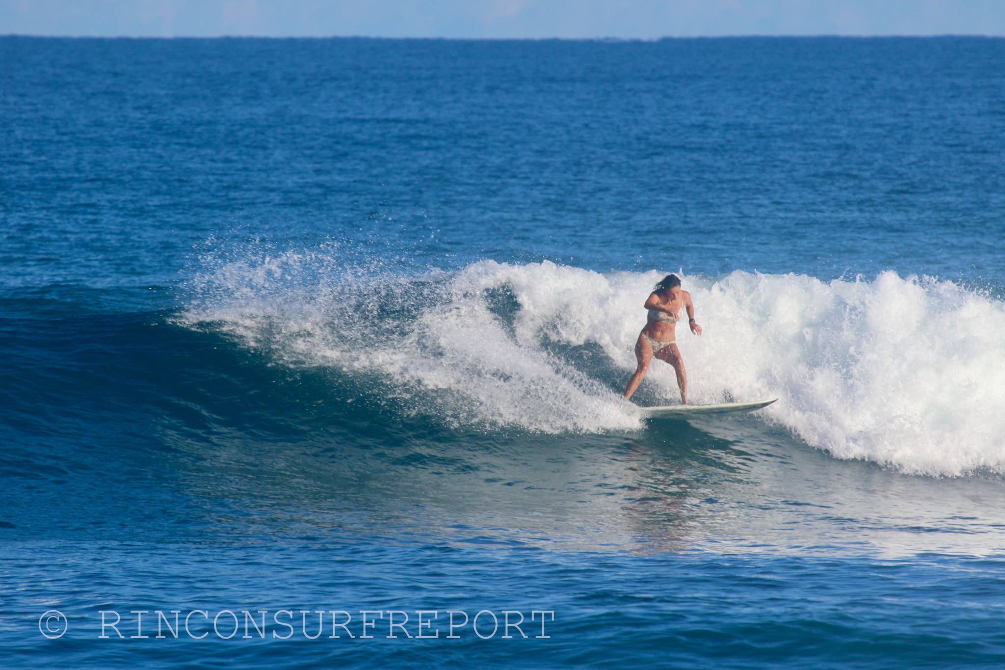 Daily Rincon Surf Report and Wave Forecast for Puerto Rico.