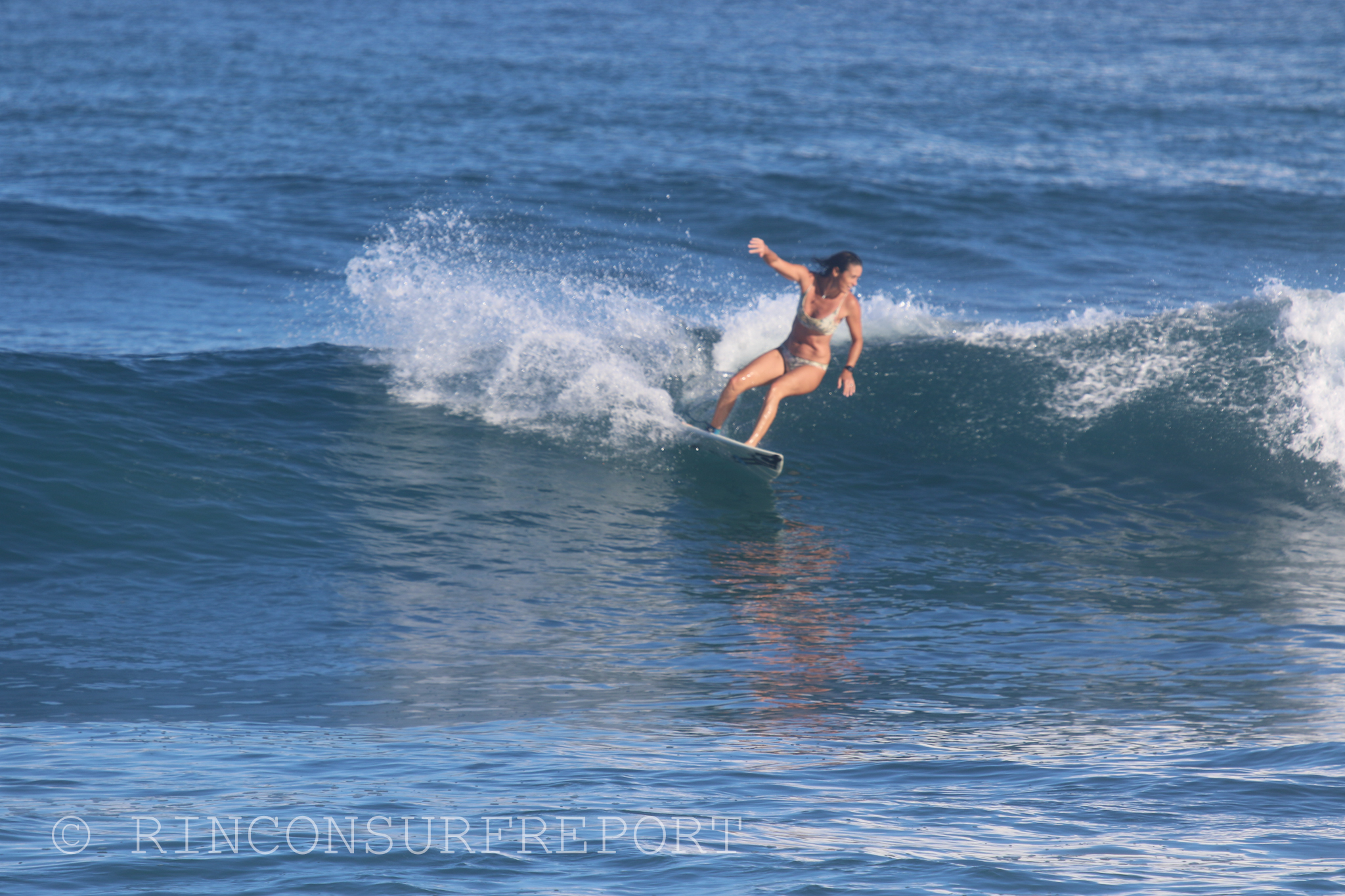 Daily Rincon Surf Report and Wave Forecast for Puerto Rico.