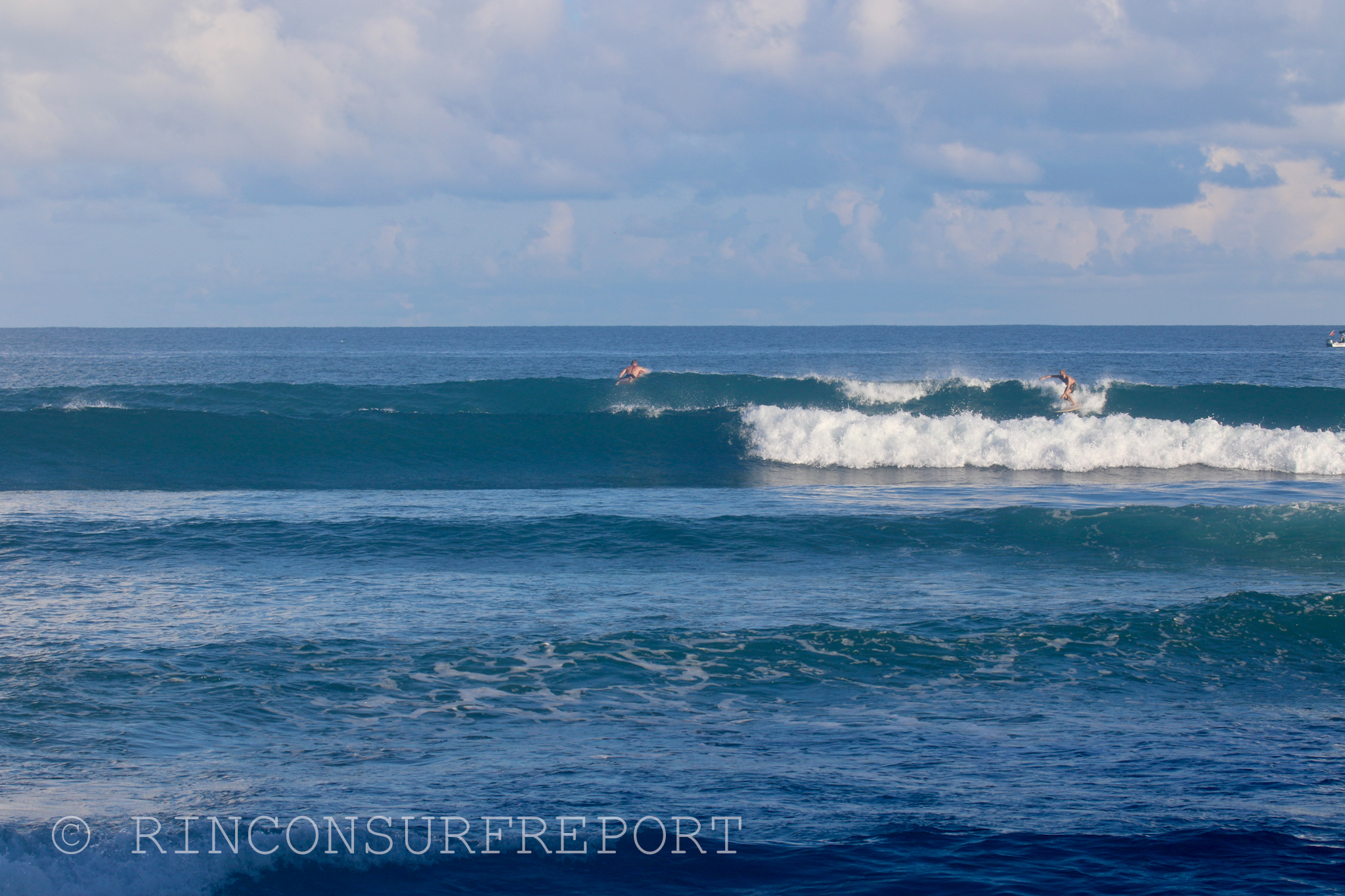 Daily Rincon Surf Report and Wave Forecast for Puerto Rico.