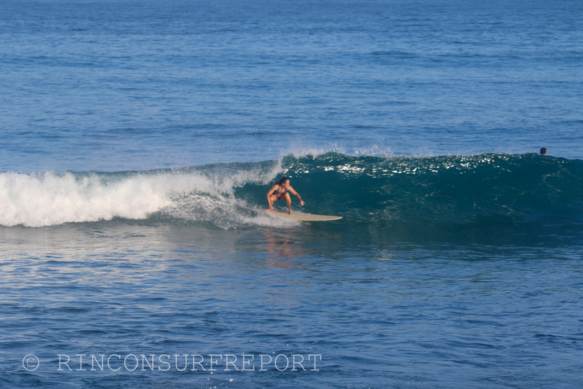 Daily Rincon Surf Report and Wave Forecast for Puerto Rico.