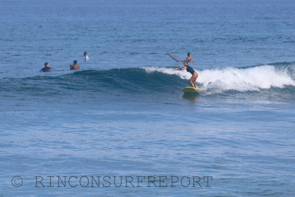 Daily Rincon Surf Report and Wave Forecast for Puerto Rico.