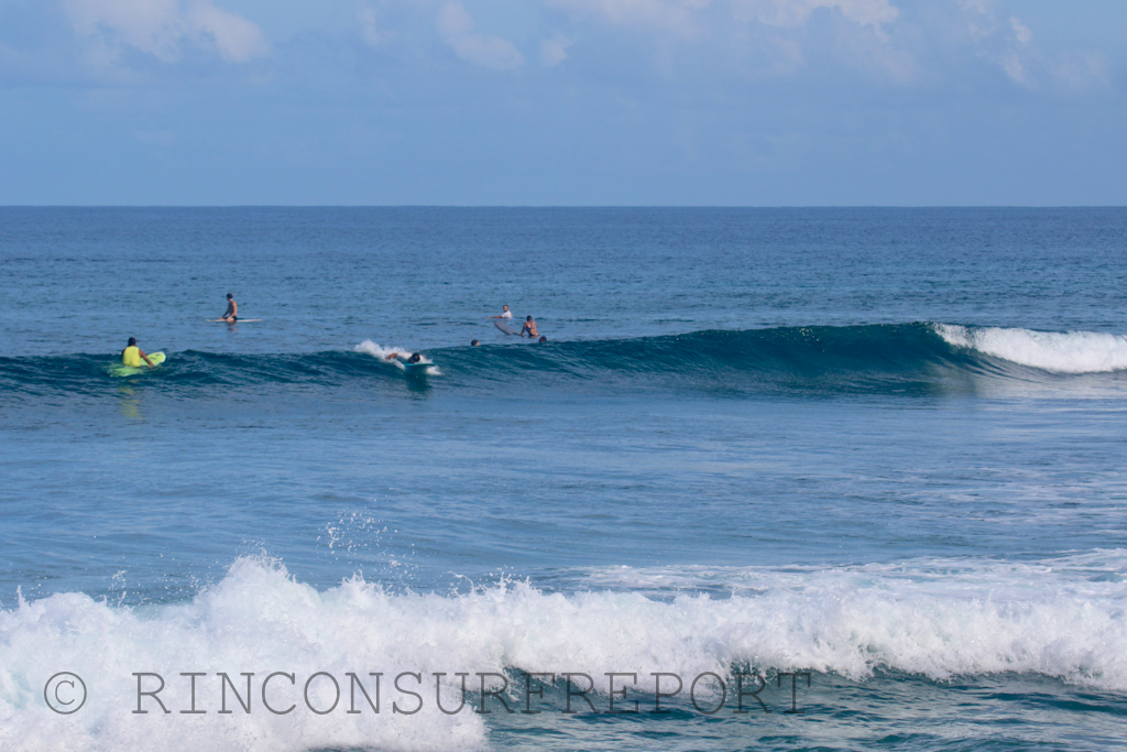 Daily Rincon Surf Report and Wave Forecast for Puerto Rico.