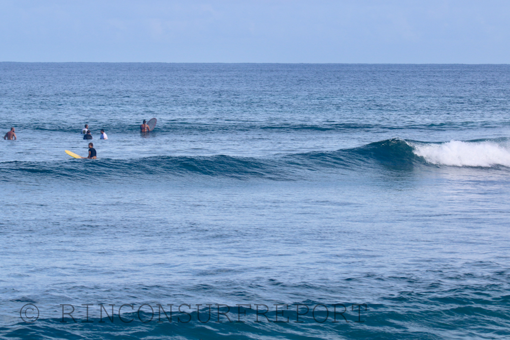 Daily Rincon Surf Report and Wave Forecast for Puerto Rico.