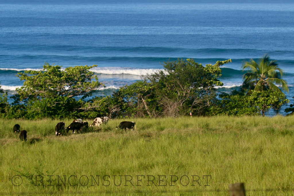 Daily Rincon Surf Report and Wave Forecast for Puerto Rico.