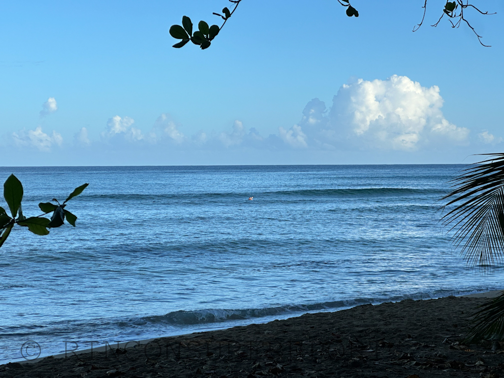 Daily Rincon Surf Report and Wave Forecast for Puerto Rico.