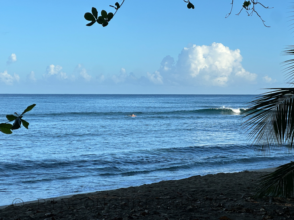 Daily Rincon Surf Report and Wave Forecast for Puerto Rico.