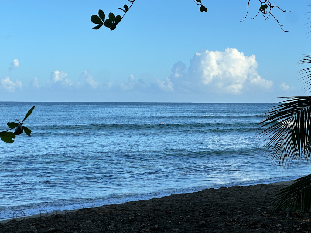 Daily Rincon Surf Report and Wave Forecast for Puerto Rico.