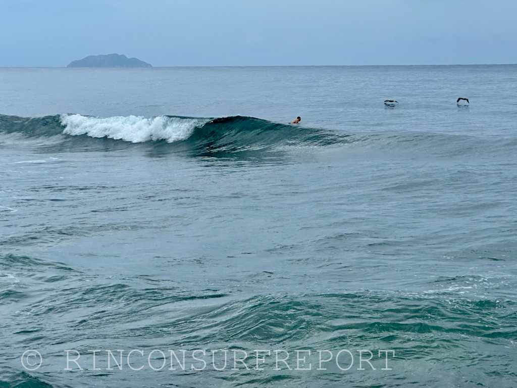 Daily Rincon Surf Report and Wave Forecast for Puerto Rico.