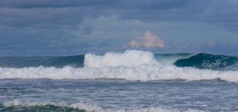 Rincon Surf Report – Friday November 1, 2024