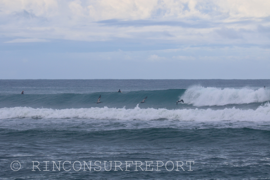 Daily Rincon Surf Report and Wave Forecast for Puerto Rico.