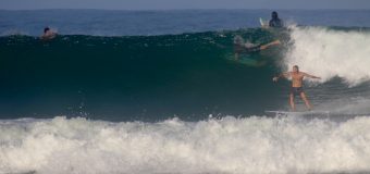 Rincon Surf Report – Tuesday November 12, 2024